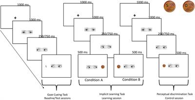 Can Monetary Reward Modulate Social Attention?